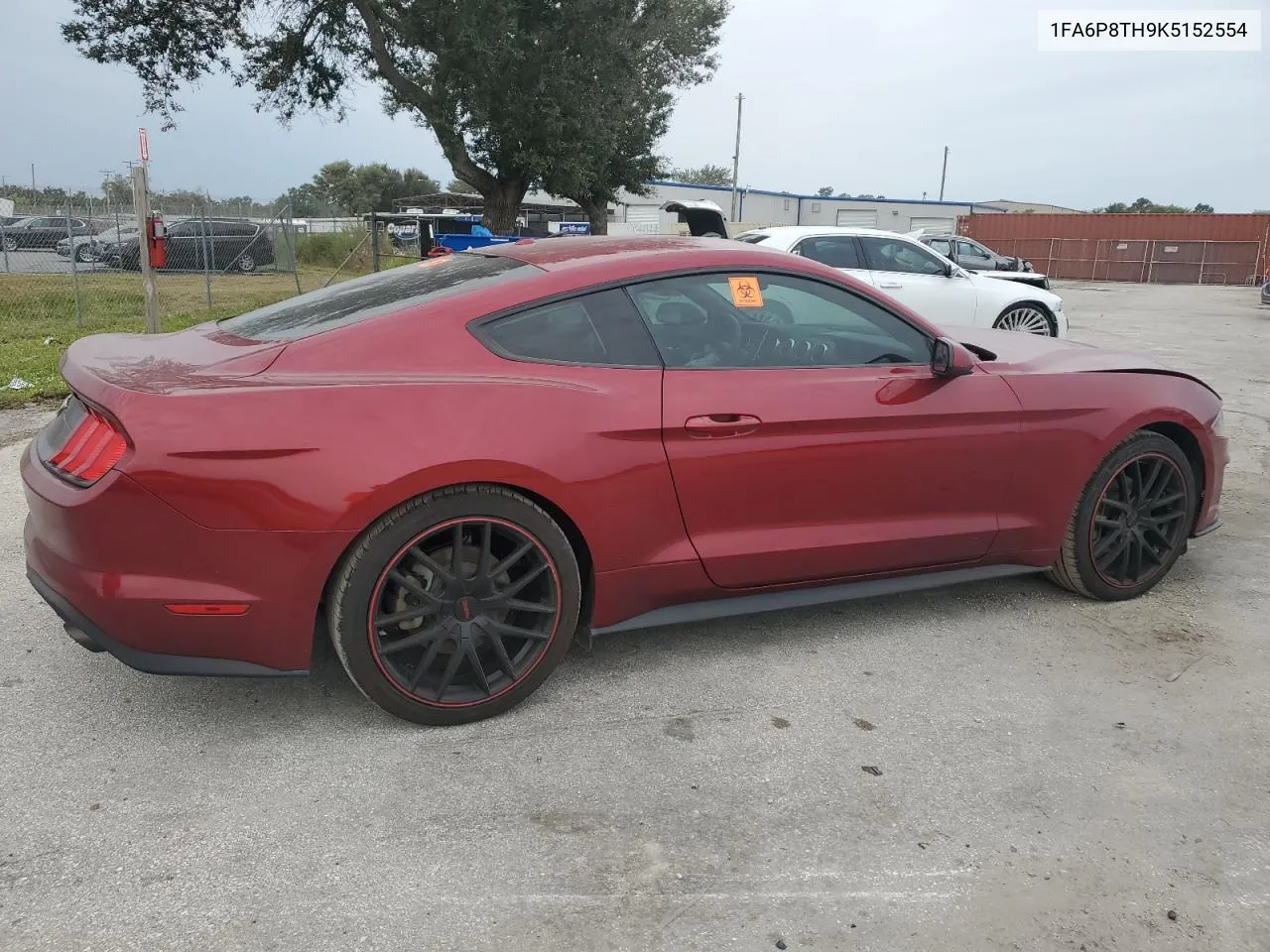 2019 Ford Mustang VIN: 1FA6P8TH9K5152554 Lot: 76153084