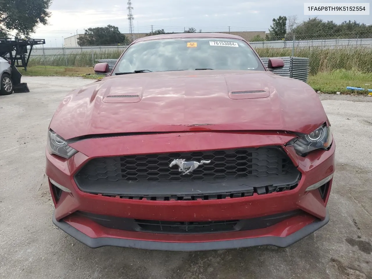 2019 Ford Mustang VIN: 1FA6P8TH9K5152554 Lot: 76153084