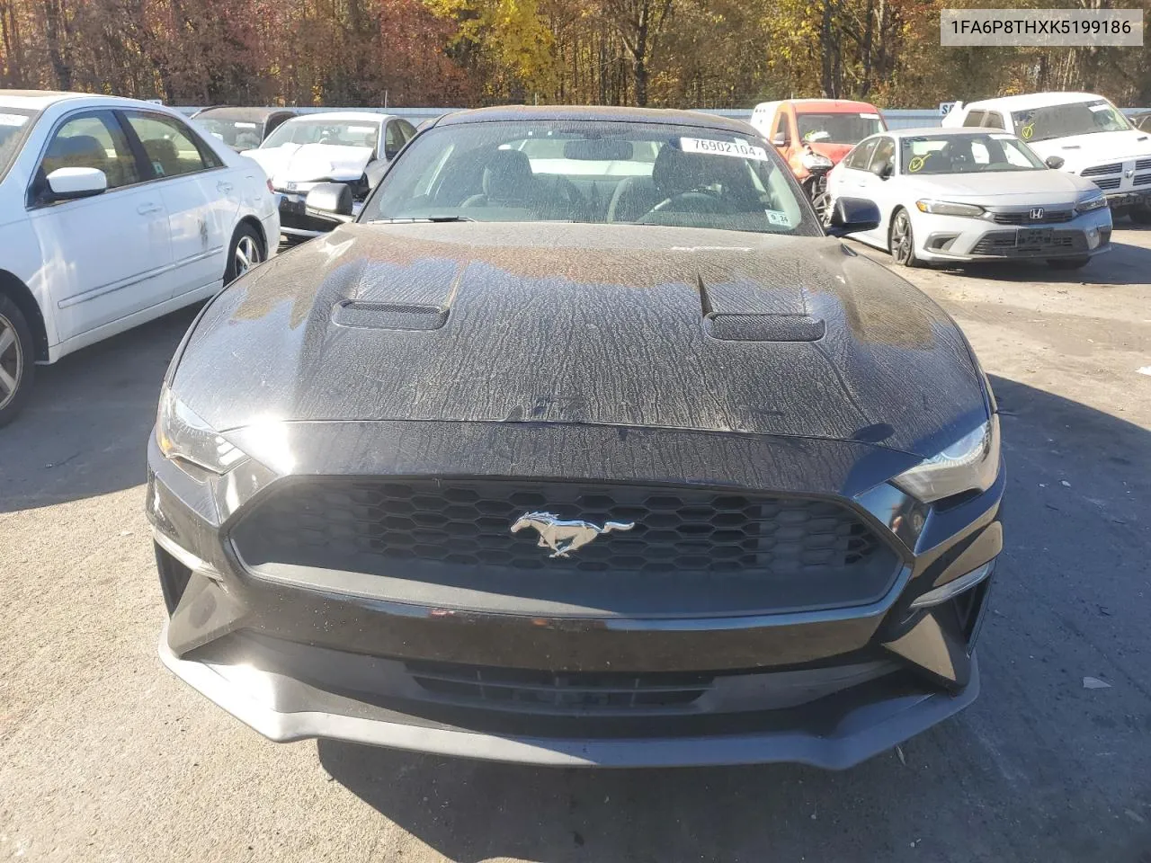 2019 Ford Mustang VIN: 1FA6P8THXK5199186 Lot: 76902104