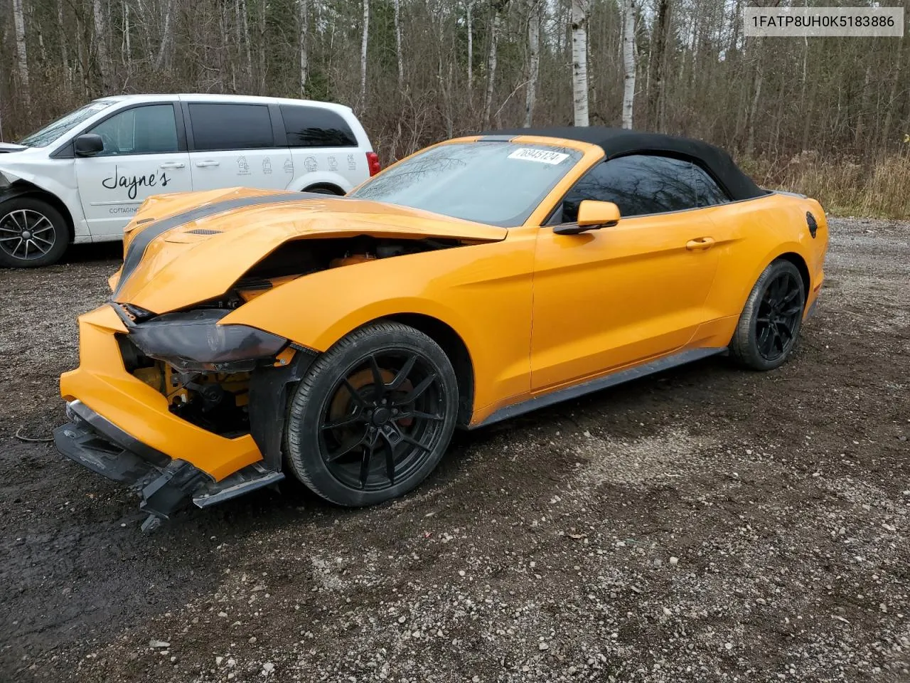 2019 Ford Mustang VIN: 1FATP8UH0K5183886 Lot: 76945124