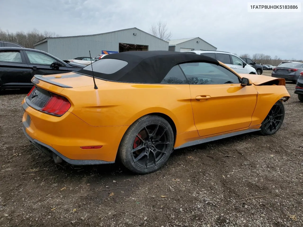 2019 Ford Mustang VIN: 1FATP8UH0K5183886 Lot: 76945124