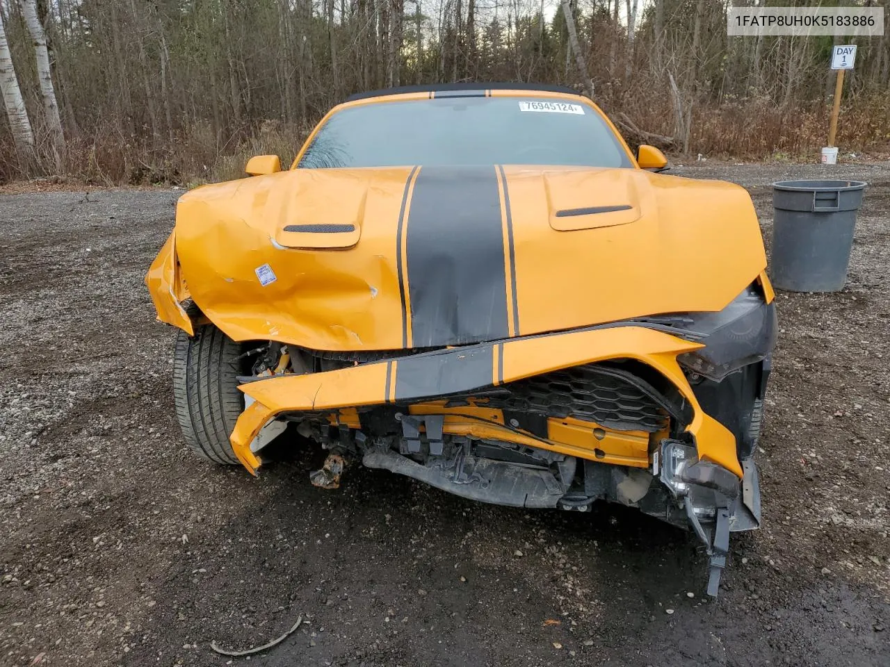 2019 Ford Mustang VIN: 1FATP8UH0K5183886 Lot: 76945124