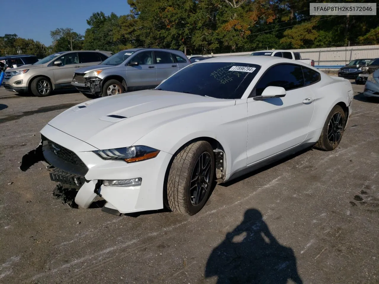 2019 Ford Mustang VIN: 1FA6P8TH2K5172046 Lot: 77896794