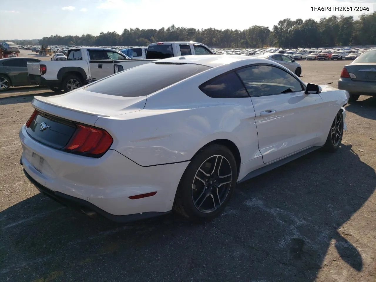 2019 Ford Mustang VIN: 1FA6P8TH2K5172046 Lot: 77896794