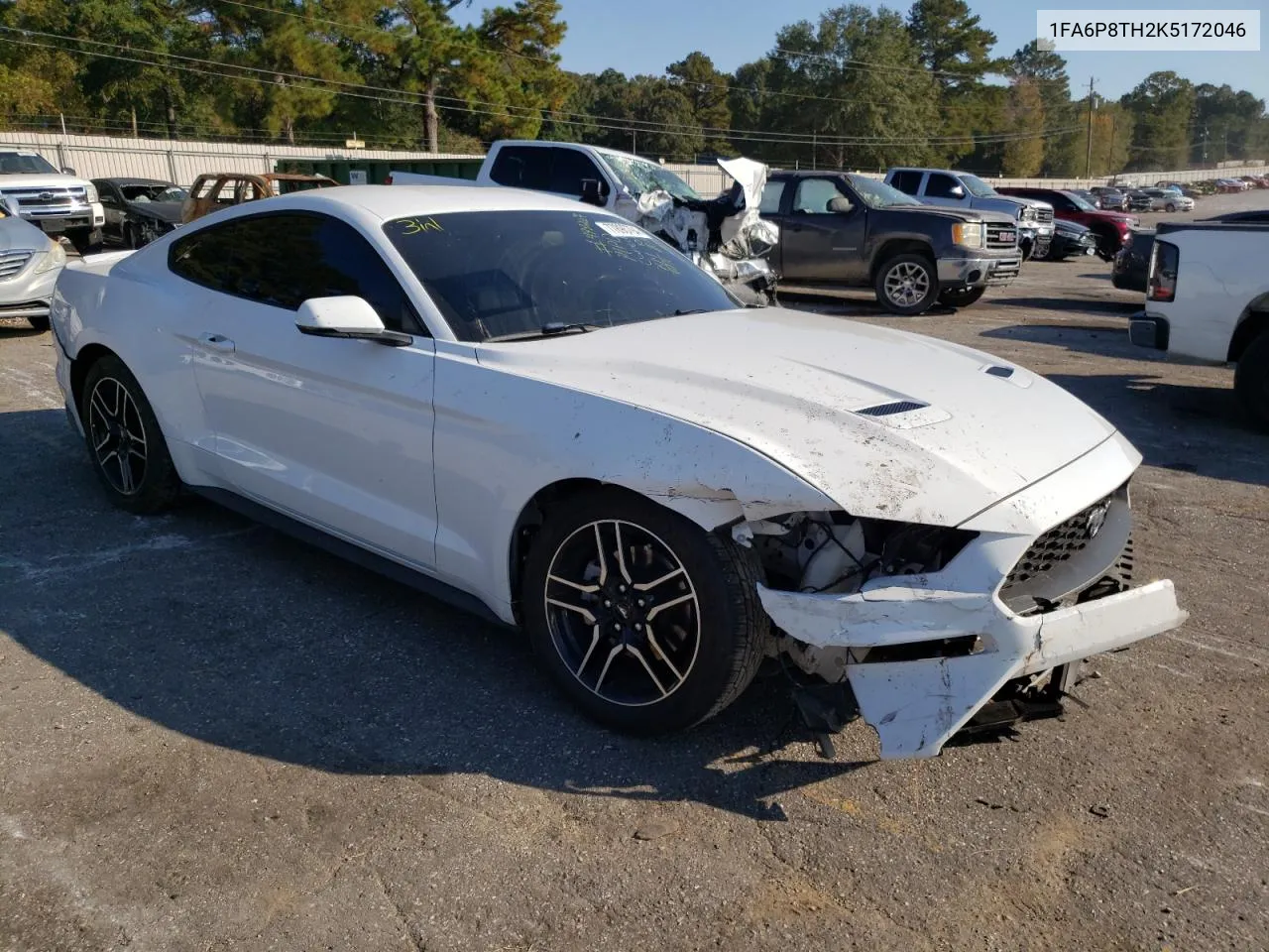 2019 Ford Mustang VIN: 1FA6P8TH2K5172046 Lot: 77896794