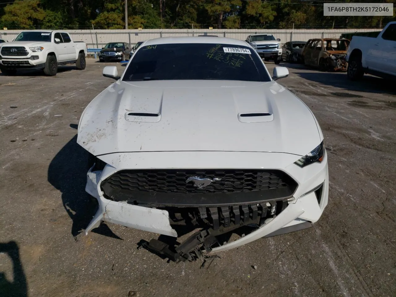 2019 Ford Mustang VIN: 1FA6P8TH2K5172046 Lot: 77896794