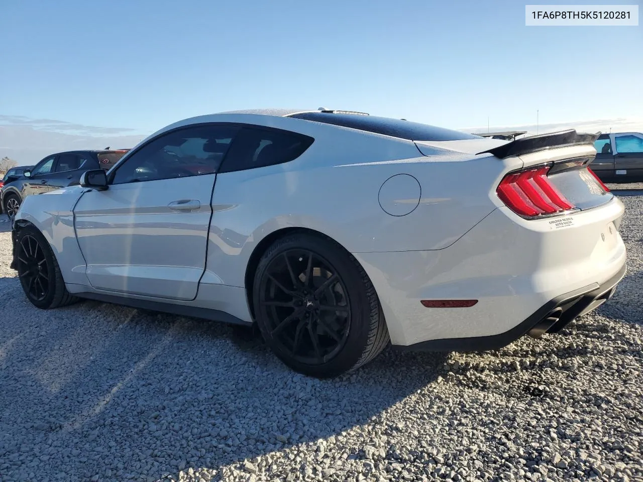 2019 Ford Mustang VIN: 1FA6P8TH5K5120281 Lot: 81223714