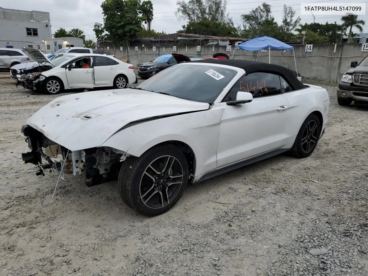 2020 Ford Mustang VIN: 1FATP8UH4L5147099 Lot: 37195254