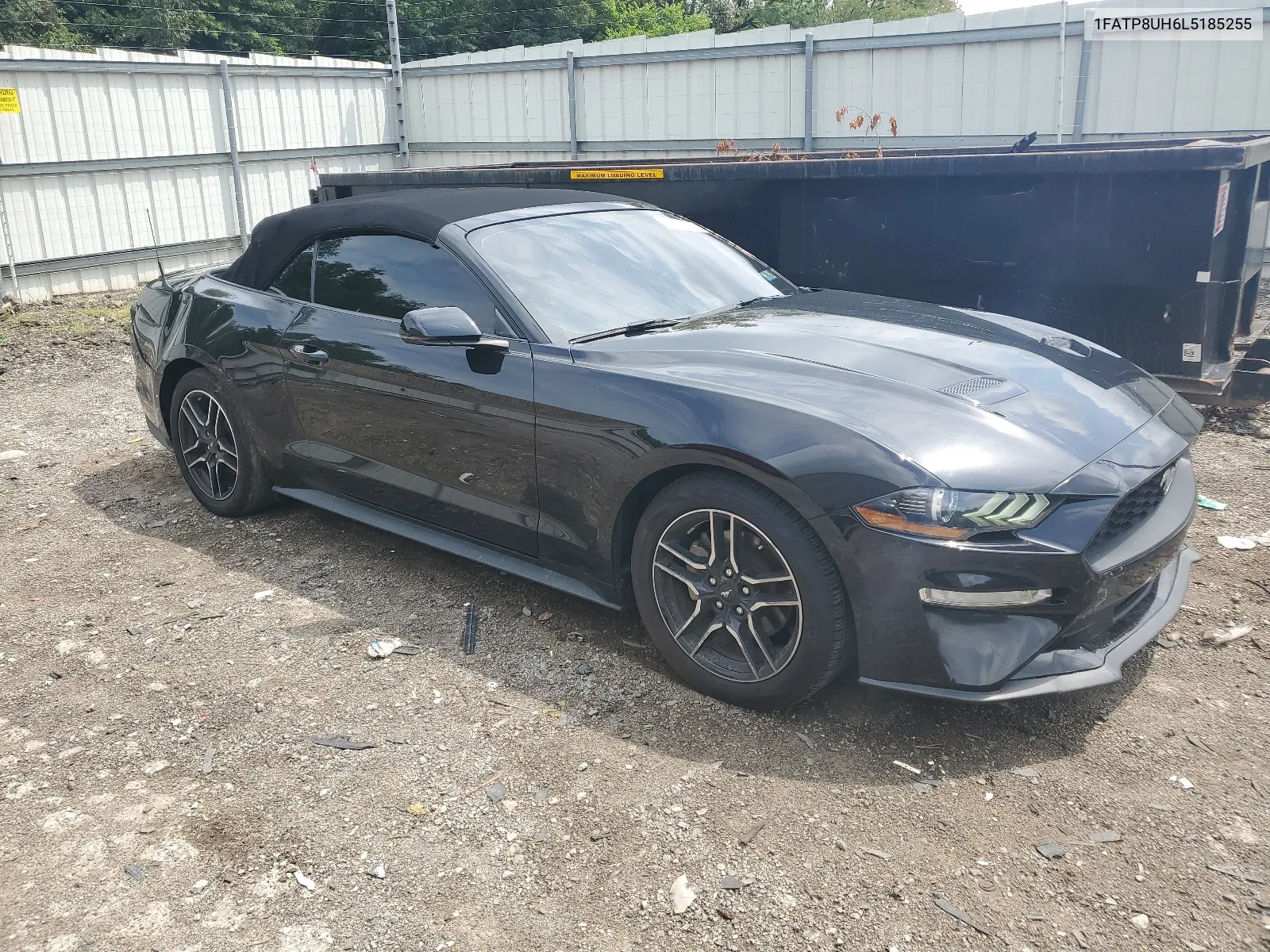 2020 Ford Mustang VIN: 1FATP8UH6L5185255 Lot: 63822184