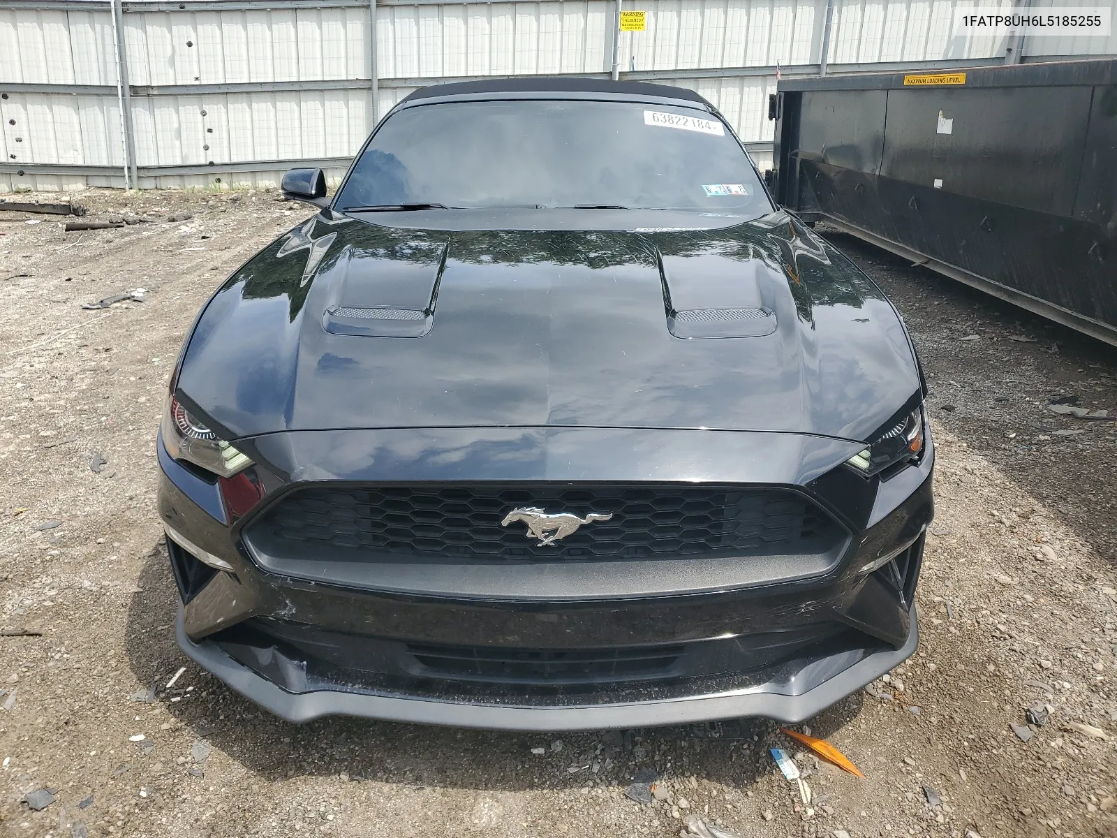 2020 Ford Mustang VIN: 1FATP8UH6L5185255 Lot: 63822184