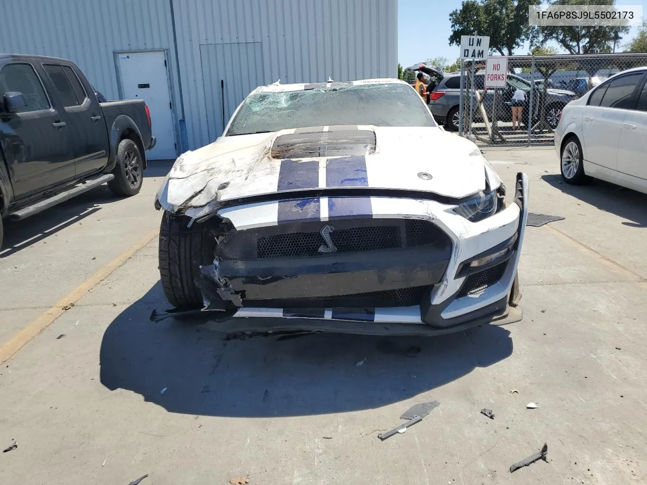 2020 Ford Mustang Shelby Gt500 VIN: 1FA6P8SJ9L5502173 Lot: 65998134