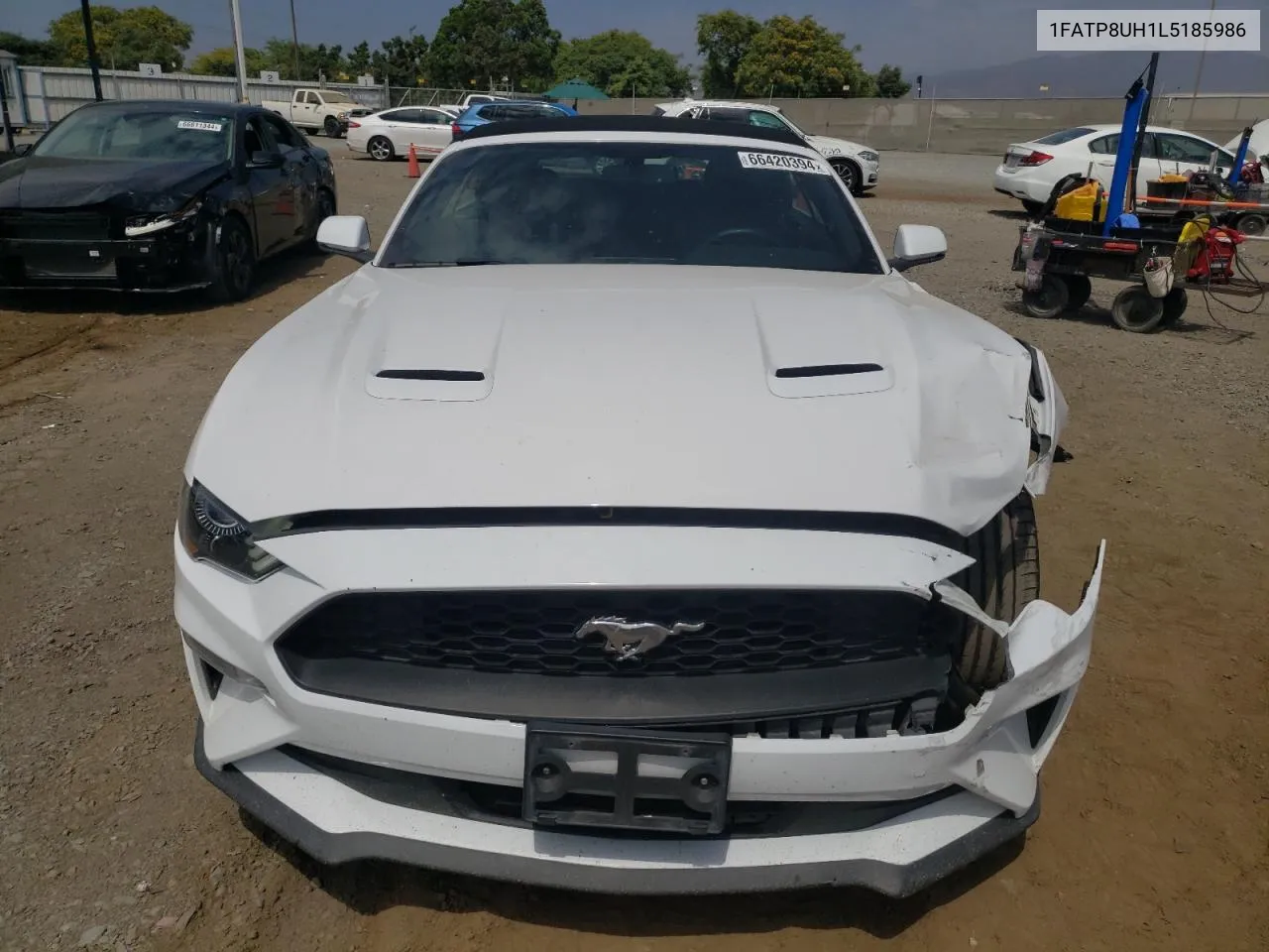 2020 Ford Mustang VIN: 1FATP8UH1L5185986 Lot: 66420394