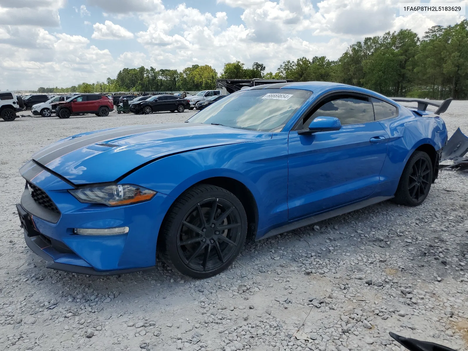 2020 Ford Mustang VIN: 1FA6P8TH2L5183629 Lot: 66669654