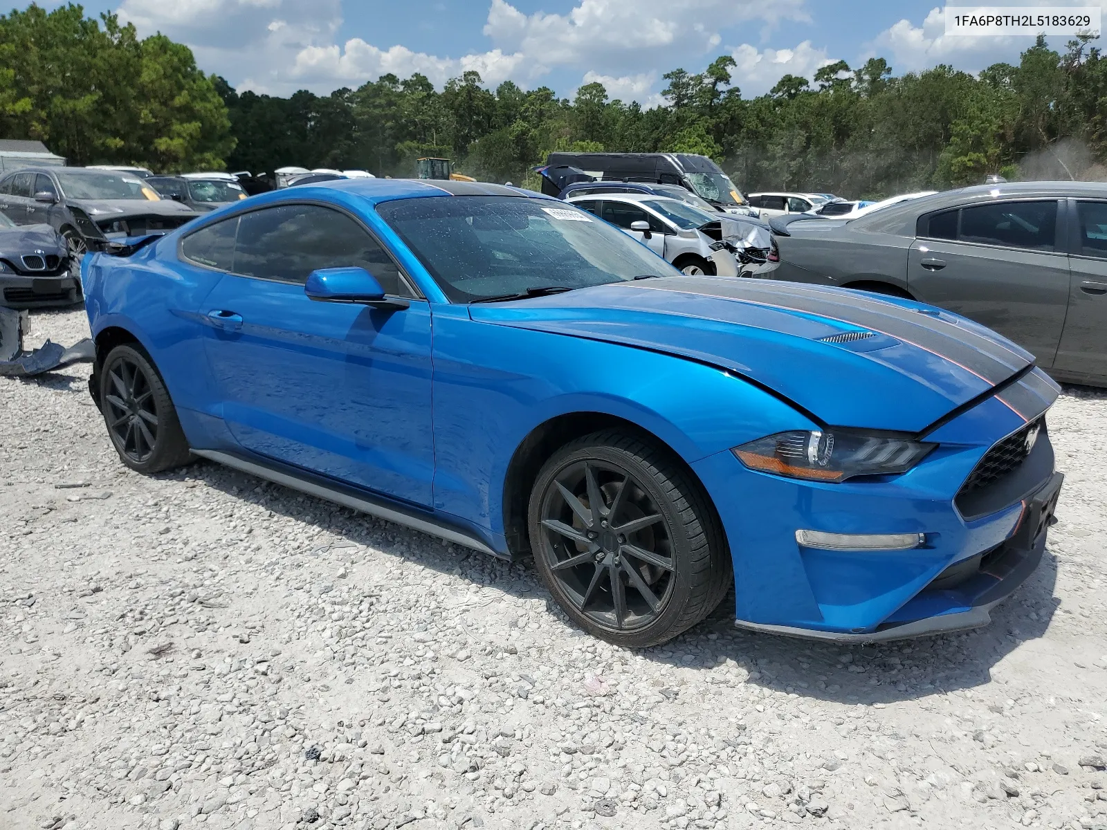 2020 Ford Mustang VIN: 1FA6P8TH2L5183629 Lot: 66669654