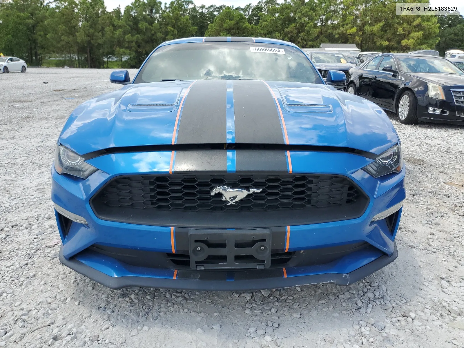 2020 Ford Mustang VIN: 1FA6P8TH2L5183629 Lot: 66669654