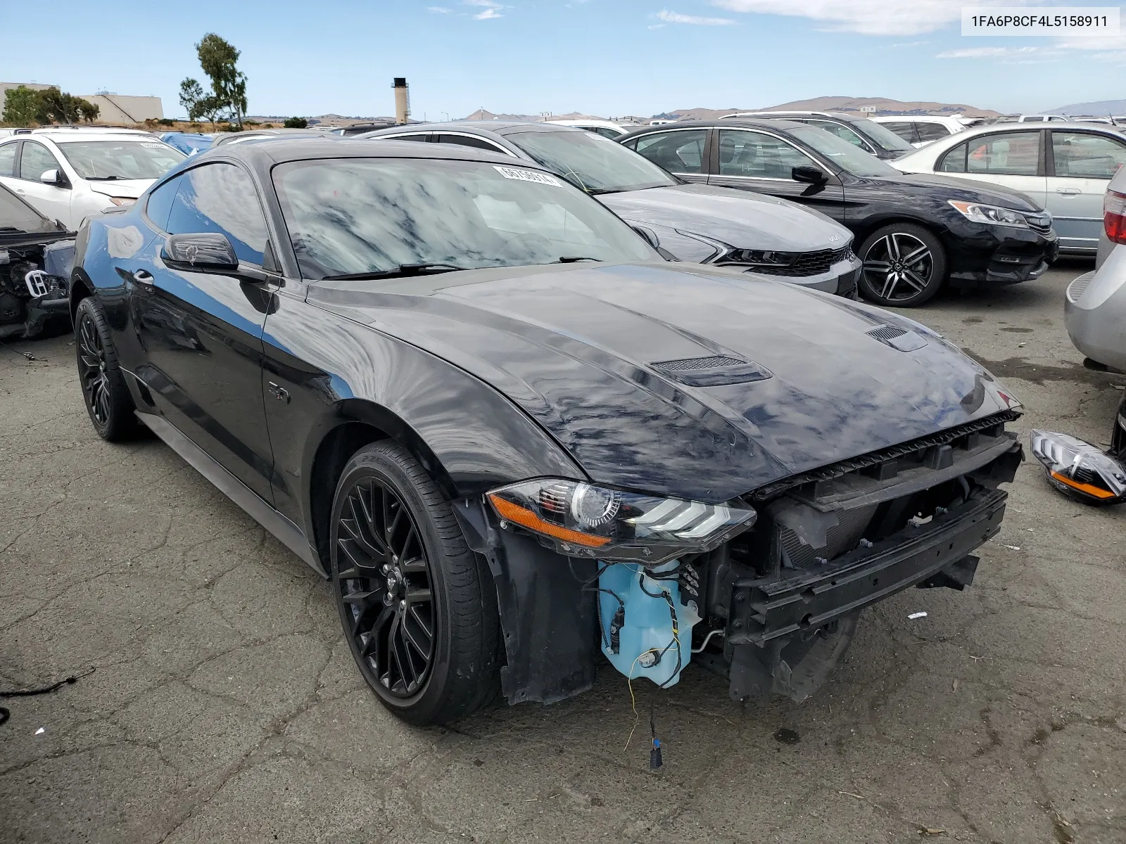 2020 Ford Mustang Gt VIN: 1FA6P8CF4L5158911 Lot: 66756914