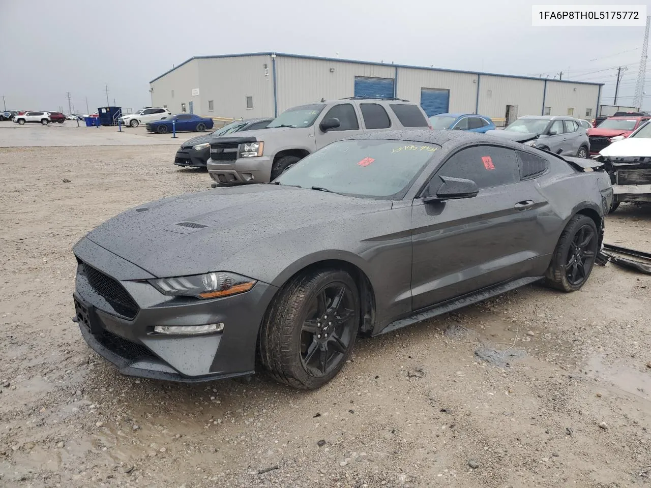 2020 Ford Mustang VIN: 1FA6P8TH0L5175772 Lot: 69953964