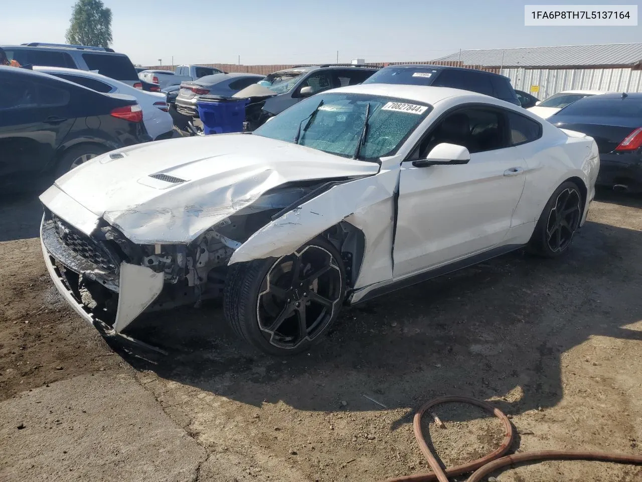 2020 Ford Mustang VIN: 1FA6P8TH7L5137164 Lot: 70827844