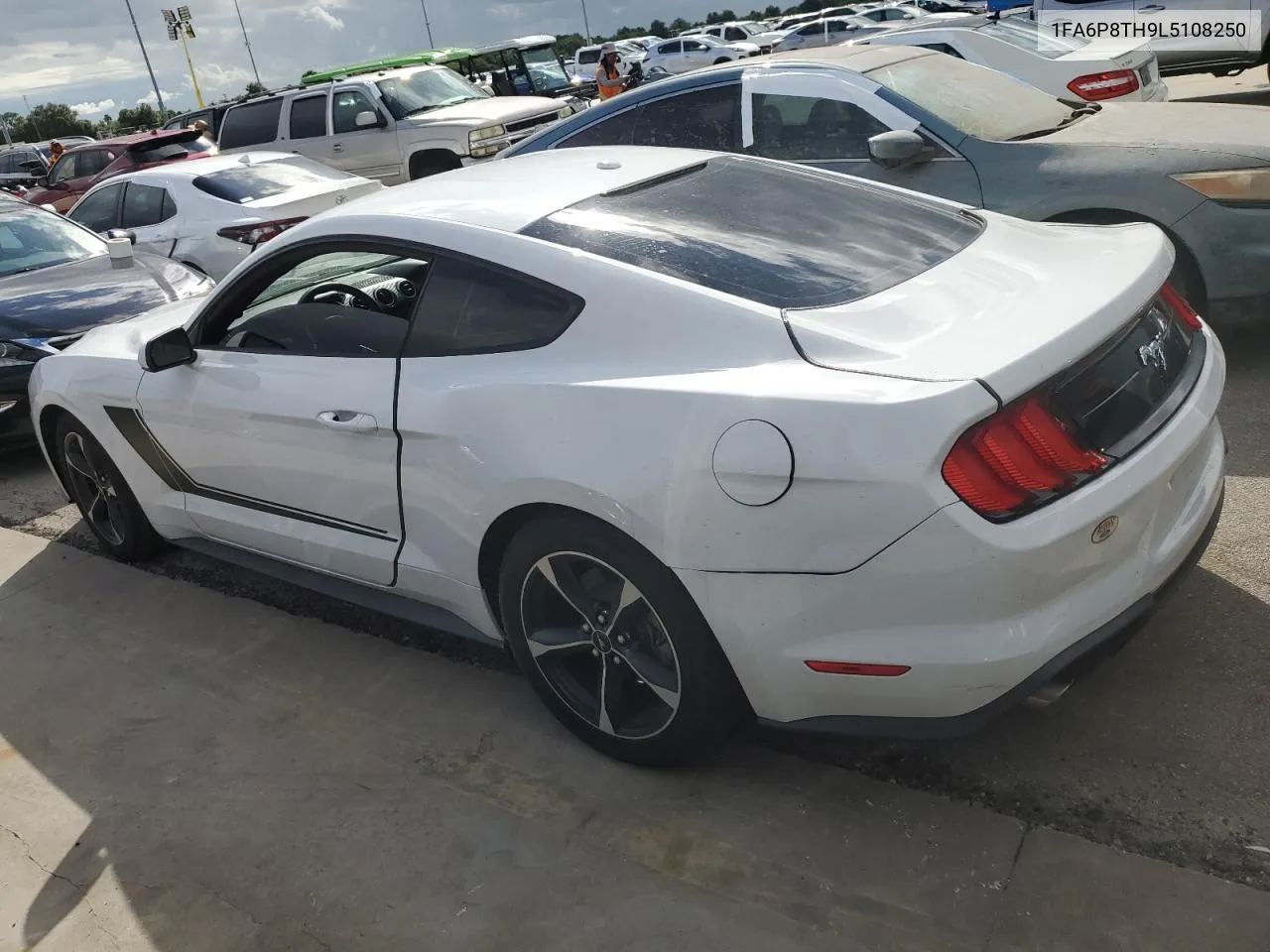 2020 Ford Mustang VIN: 1FA6P8TH9L5108250 Lot: 73988454