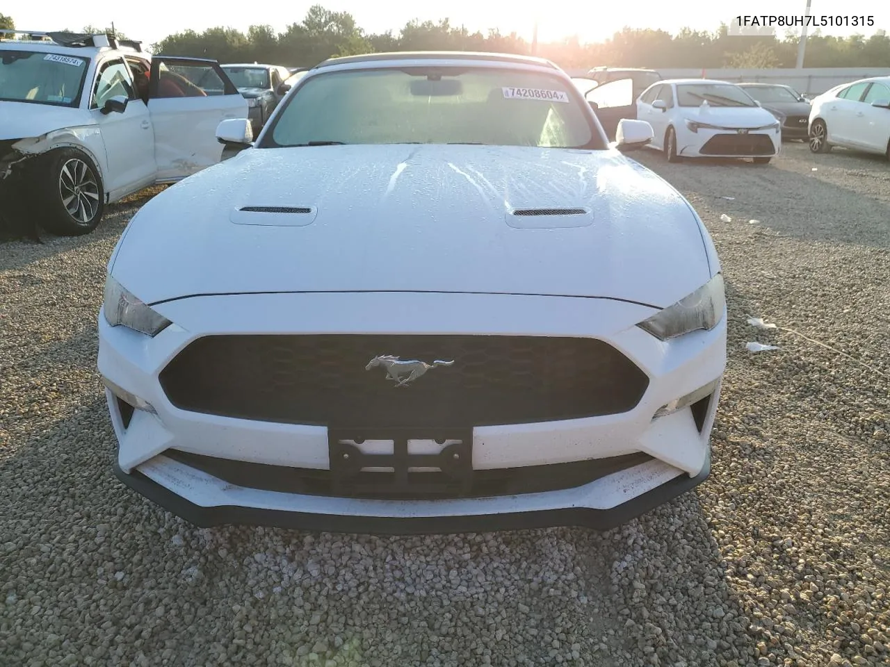 2020 Ford Mustang VIN: 1FATP8UH7L5101315 Lot: 74208604