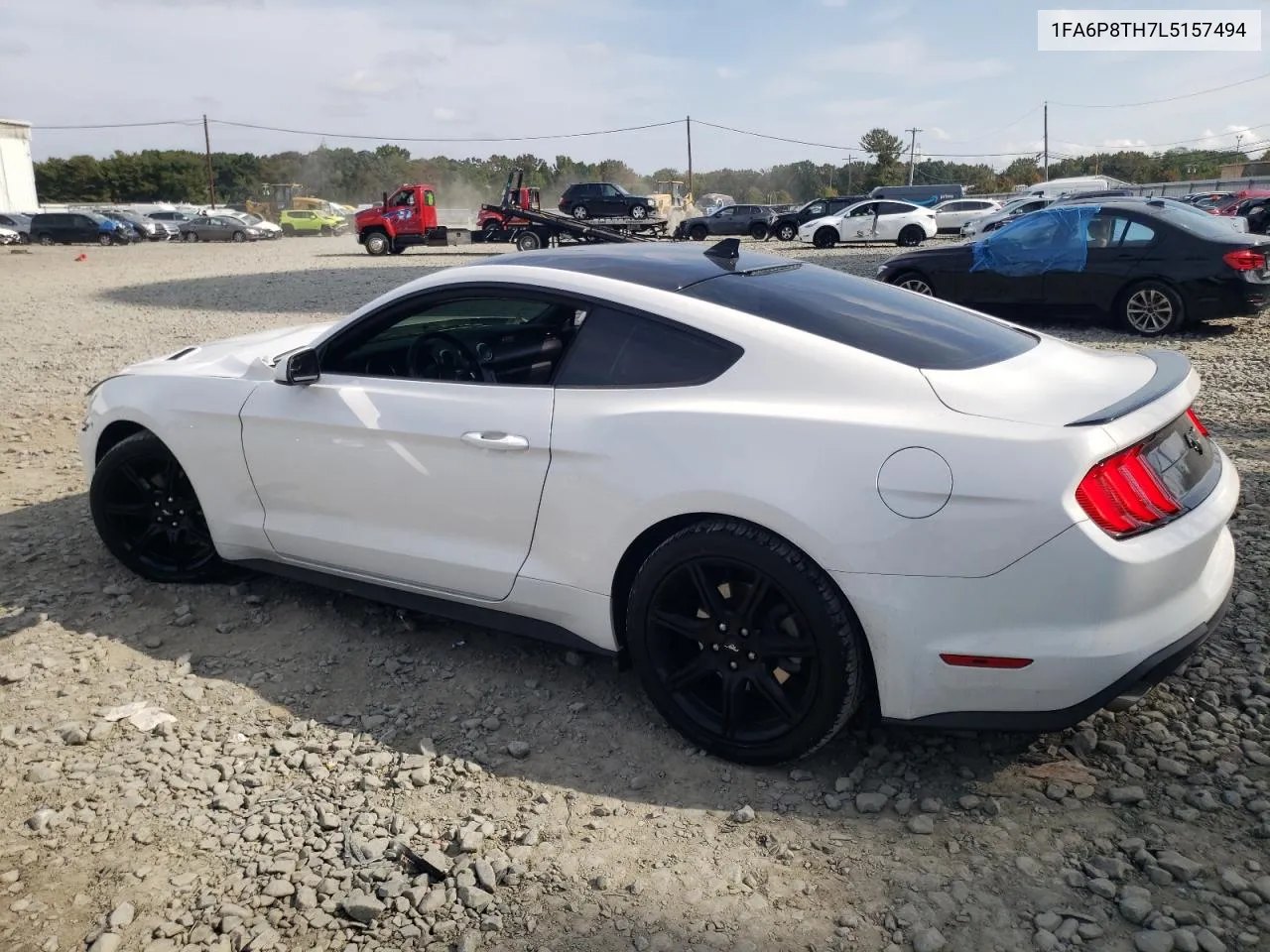 2020 Ford Mustang VIN: 1FA6P8TH7L5157494 Lot: 74217864