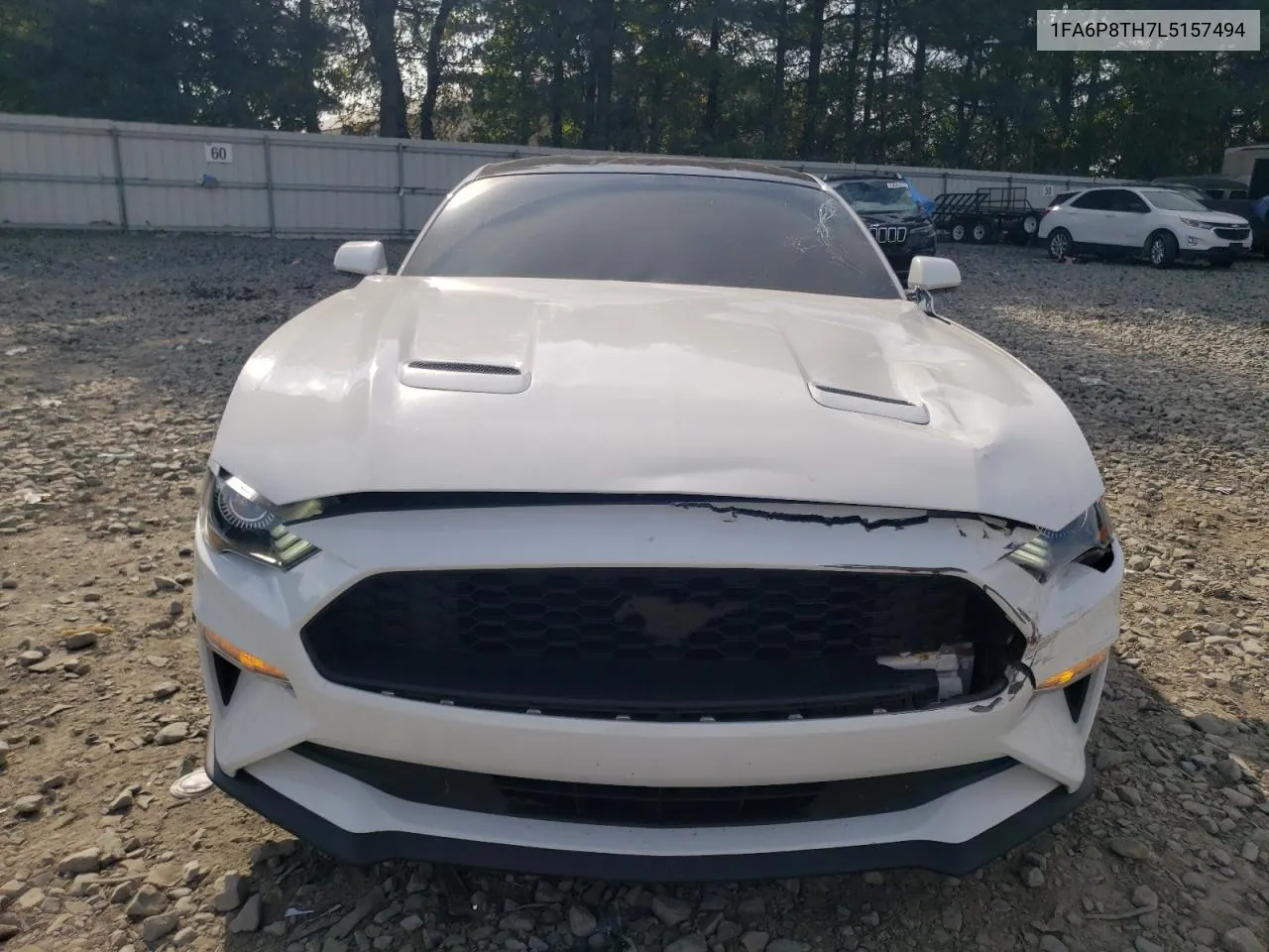 2020 Ford Mustang VIN: 1FA6P8TH7L5157494 Lot: 74217864