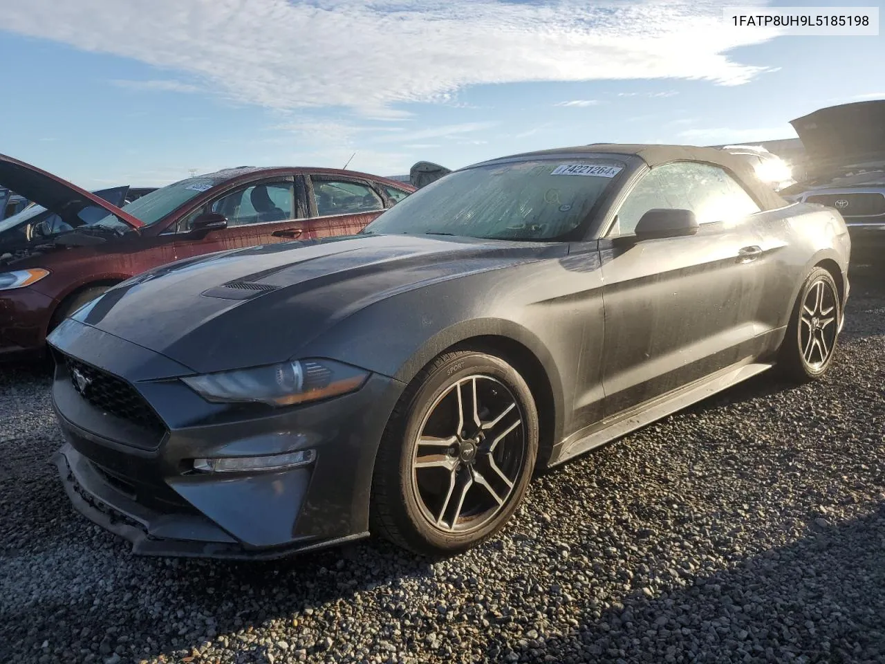 2020 Ford Mustang VIN: 1FATP8UH9L5185198 Lot: 74221264