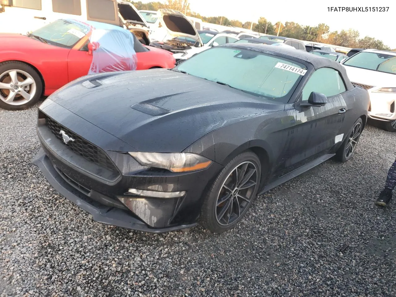 2020 Ford Mustang VIN: 1FATP8UHXL5151237 Lot: 74714174