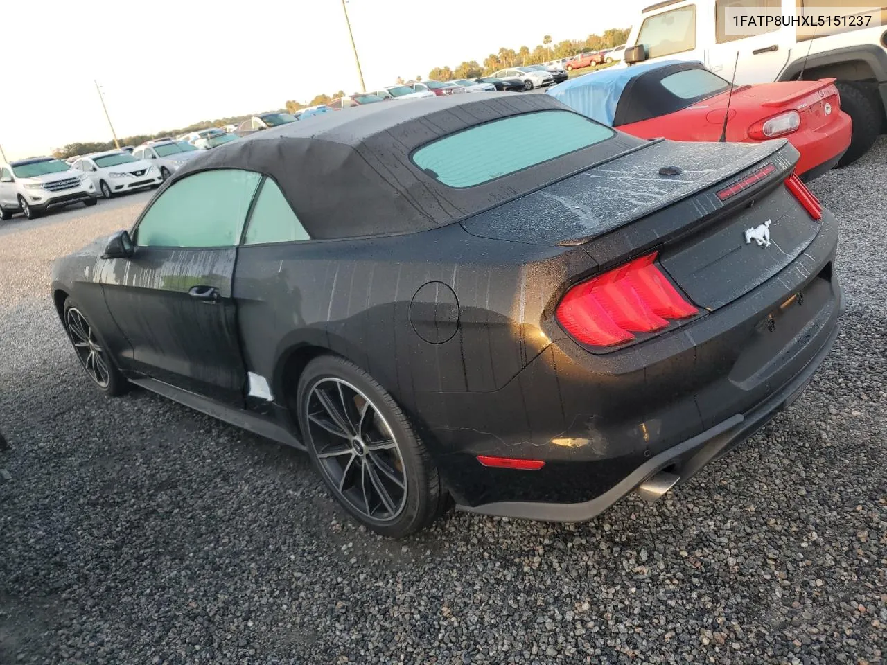 2020 Ford Mustang VIN: 1FATP8UHXL5151237 Lot: 74714174