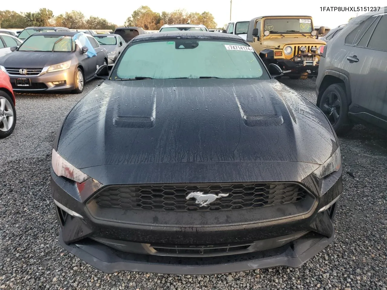 2020 Ford Mustang VIN: 1FATP8UHXL5151237 Lot: 74714174