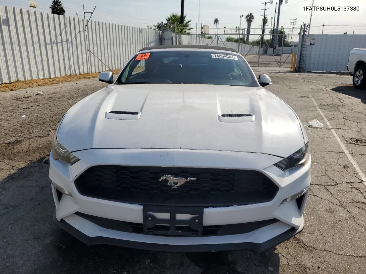 2020 Ford Mustang VIN: 1FATP8UH0L5137380 Lot: 74804044