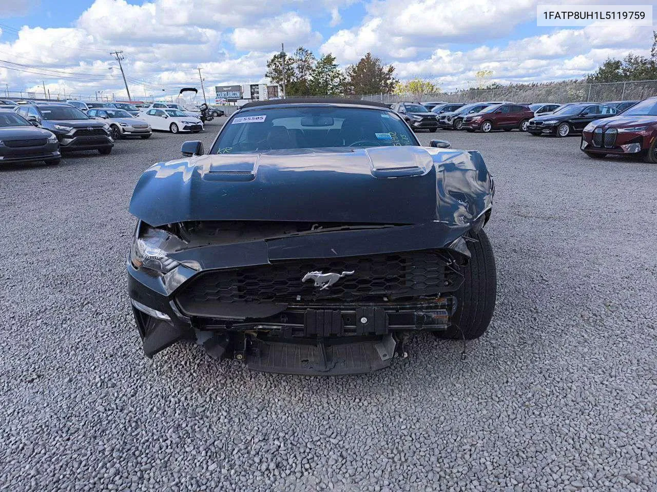 2020 Ford Mustang VIN: 1FATP8UH1L5119759 Lot: 76604084