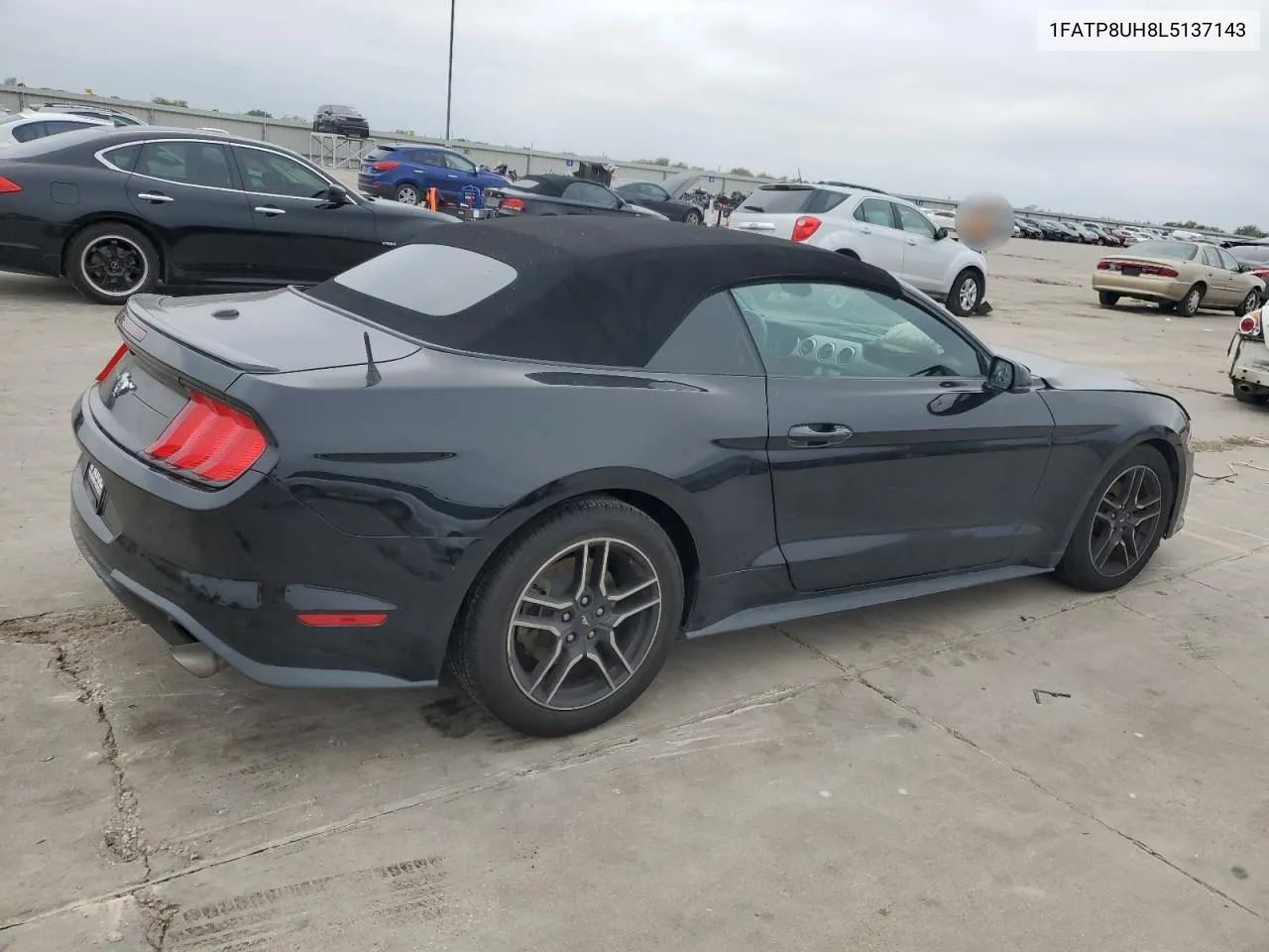 2020 Ford Mustang VIN: 1FATP8UH8L5137143 Lot: 78706484