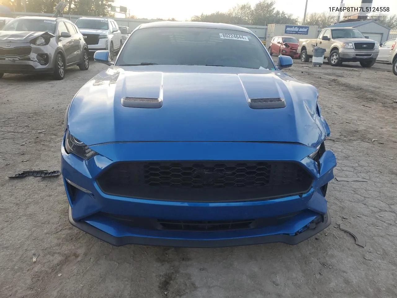 2020 Ford Mustang VIN: 1FA6P8TH7L5124558 Lot: 80224644