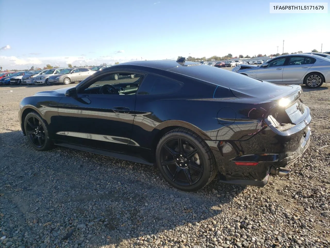 2020 Ford Mustang VIN: 1FA6P8TH1L5171679 Lot: 81201244