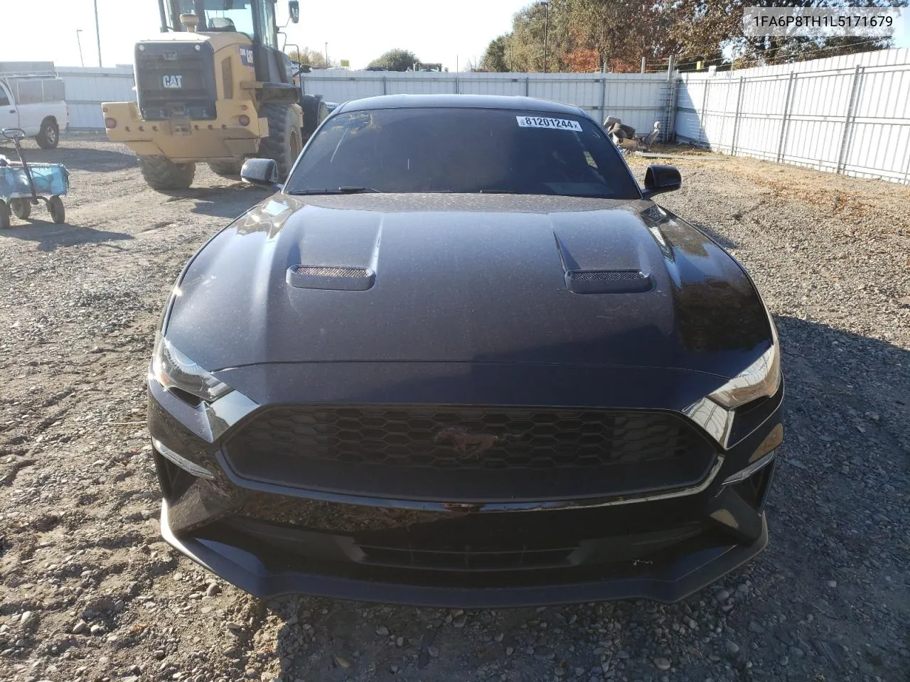 2020 Ford Mustang VIN: 1FA6P8TH1L5171679 Lot: 81201244