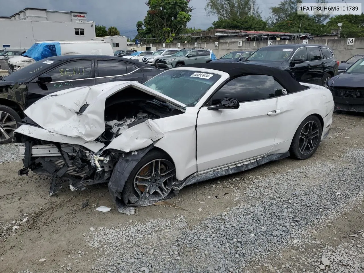 2021 Ford Mustang VIN: 1FATP8UH6M5101789 Lot: 69593934