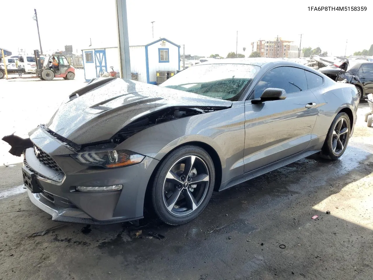 2021 Ford Mustang VIN: 1FA6P8TH4M5158359 Lot: 71132794