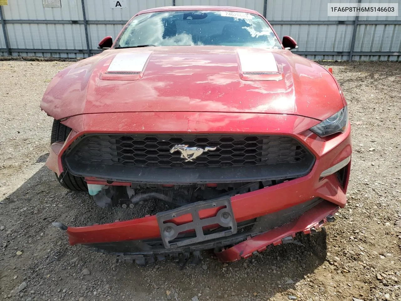 2021 Ford Mustang VIN: 1FA6P8TH6M5146603 Lot: 74628684