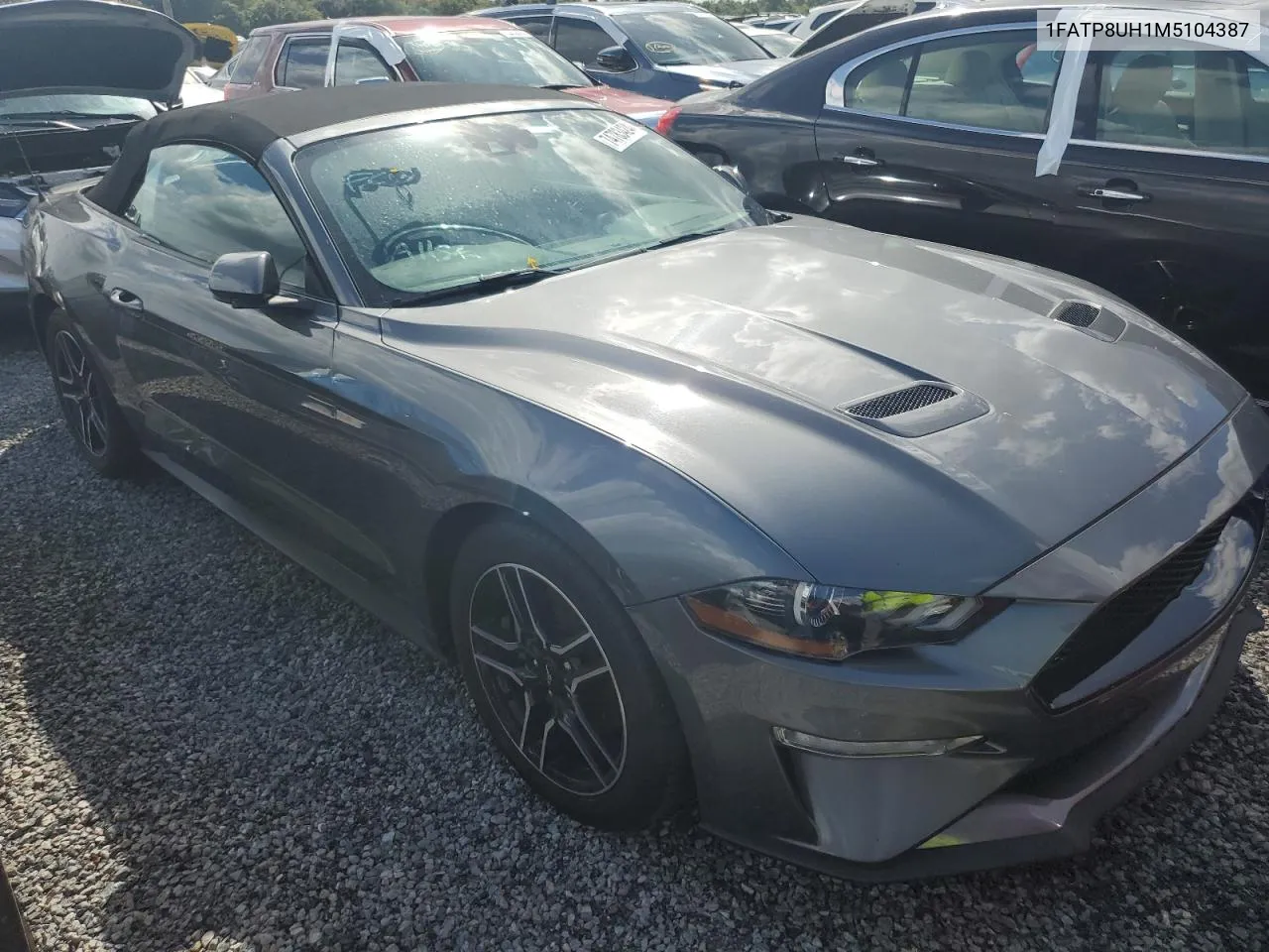 2021 Ford Mustang VIN: 1FATP8UH1M5104387 Lot: 74783424