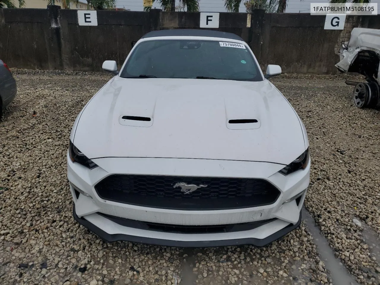 2021 Ford Mustang VIN: 1FATP8UH1M5108195 Lot: 75760844