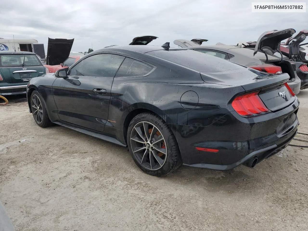 2021 Ford Mustang VIN: 1FA6P8TH6M5107882 Lot: 76064654