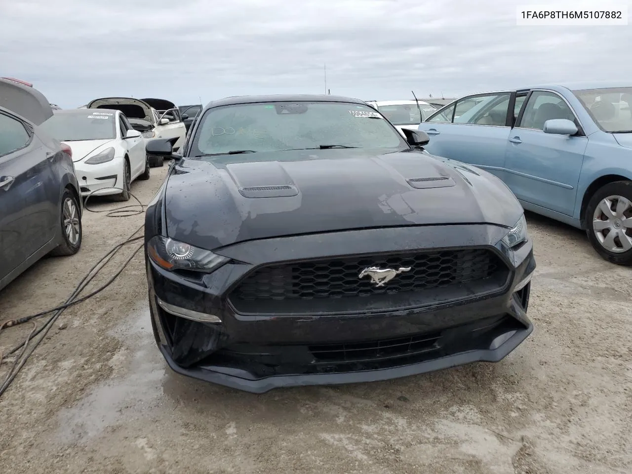 2021 Ford Mustang VIN: 1FA6P8TH6M5107882 Lot: 76064654