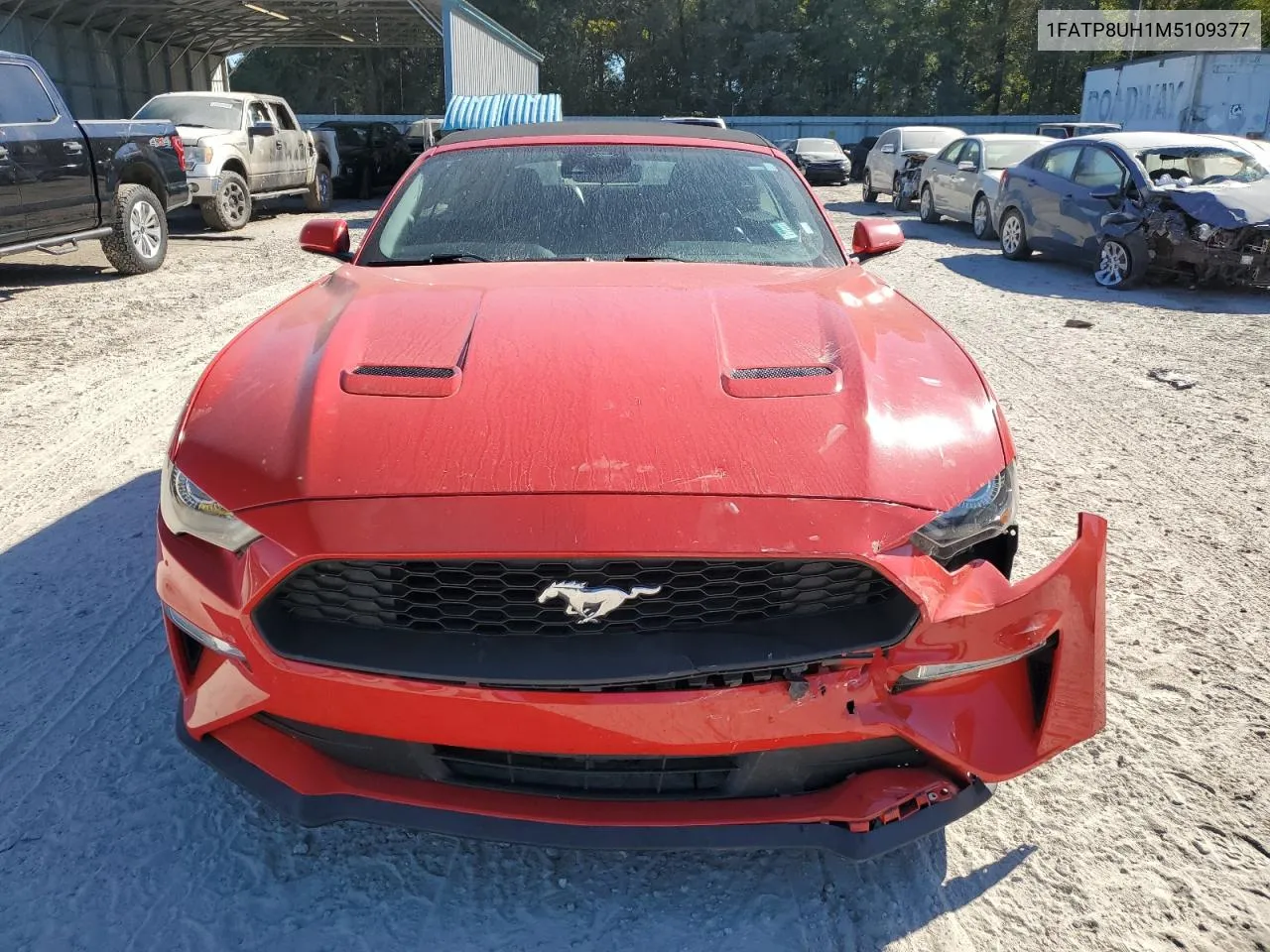 2021 Ford Mustang VIN: 1FATP8UH1M5109377 Lot: 76517564