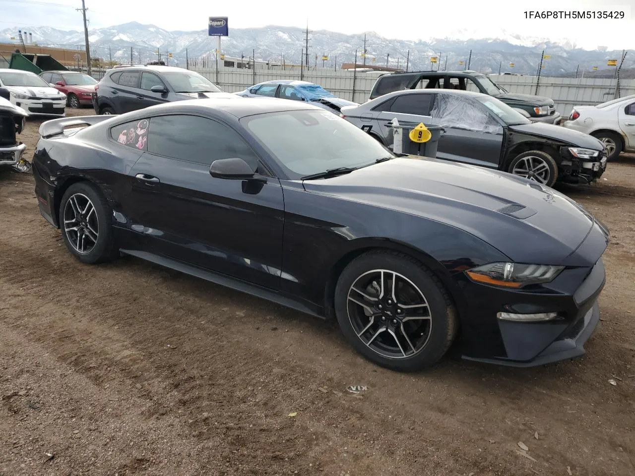 2021 Ford Mustang VIN: 1FA6P8TH5M5135429 Lot: 77651794