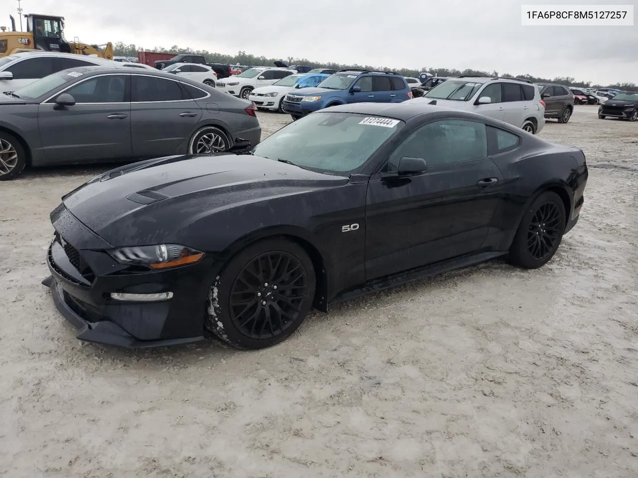 2021 Ford Mustang Gt VIN: 1FA6P8CF8M5127257 Lot: 81274444