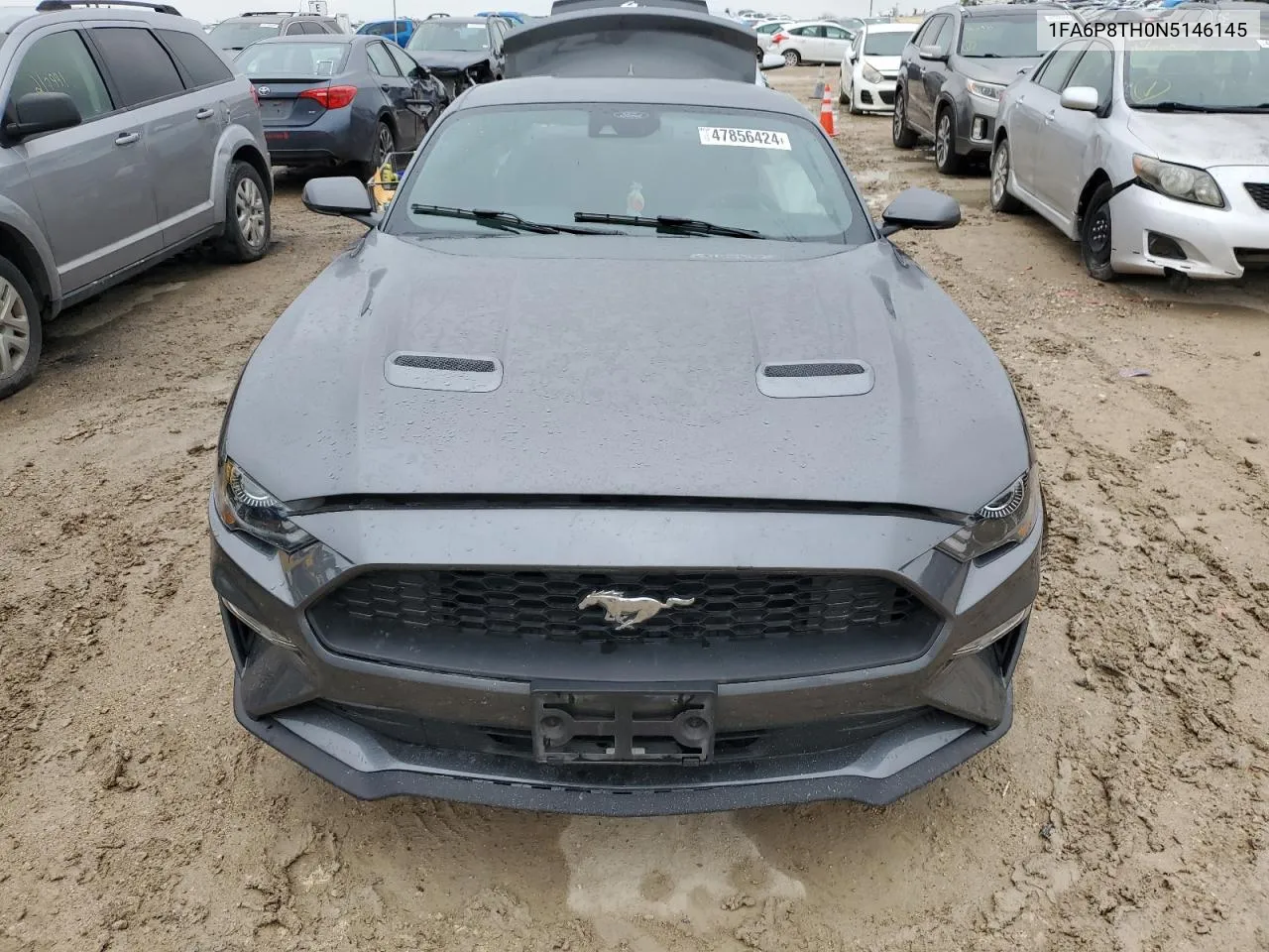 2022 Ford Mustang VIN: 1FA6P8TH0N5146145 Lot: 47856424