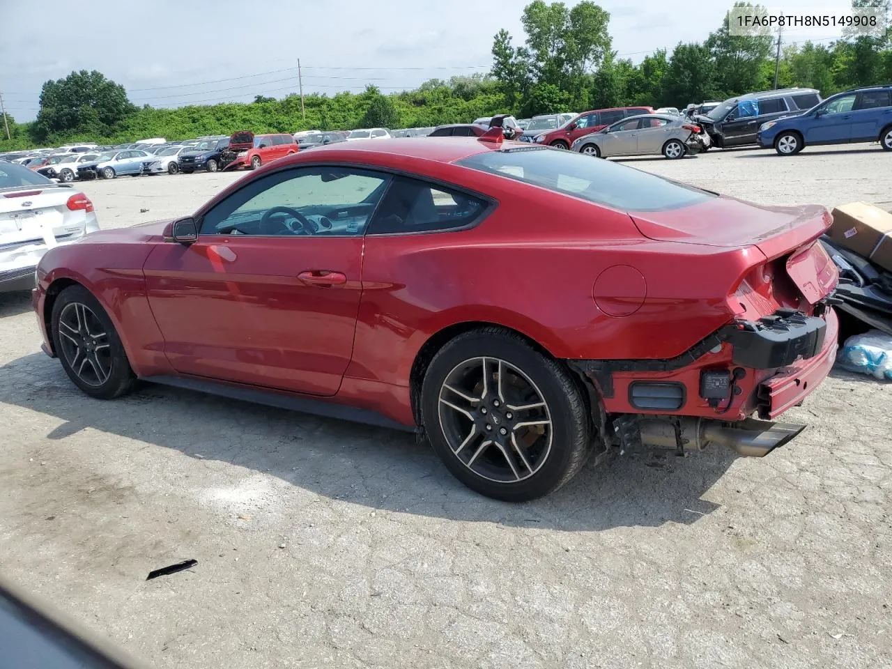 2022 Ford Mustang VIN: 1FA6P8TH8N5149908 Lot: 55216174