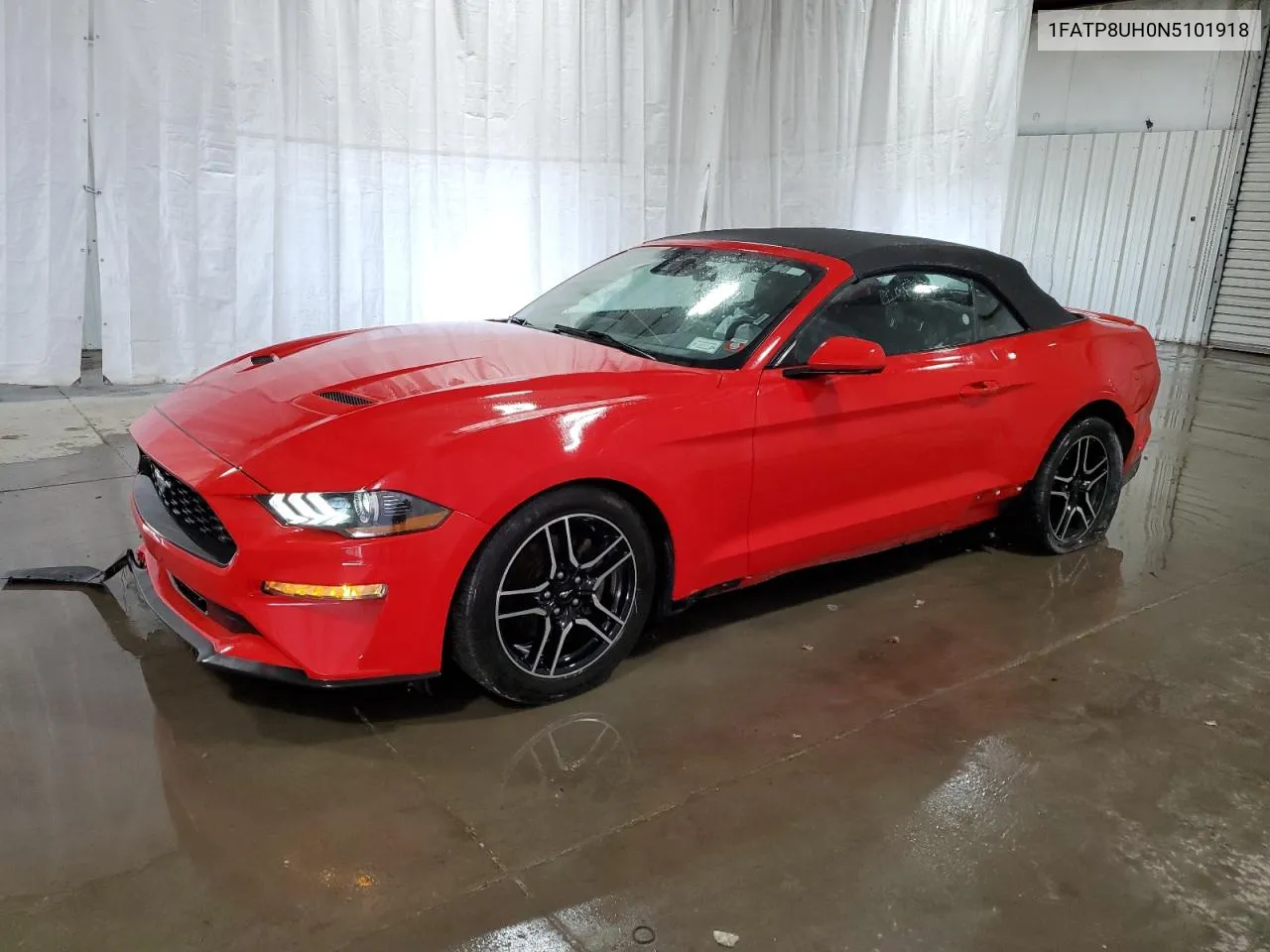 2022 Ford Mustang VIN: 1FATP8UH0N5101918 Lot: 71391444