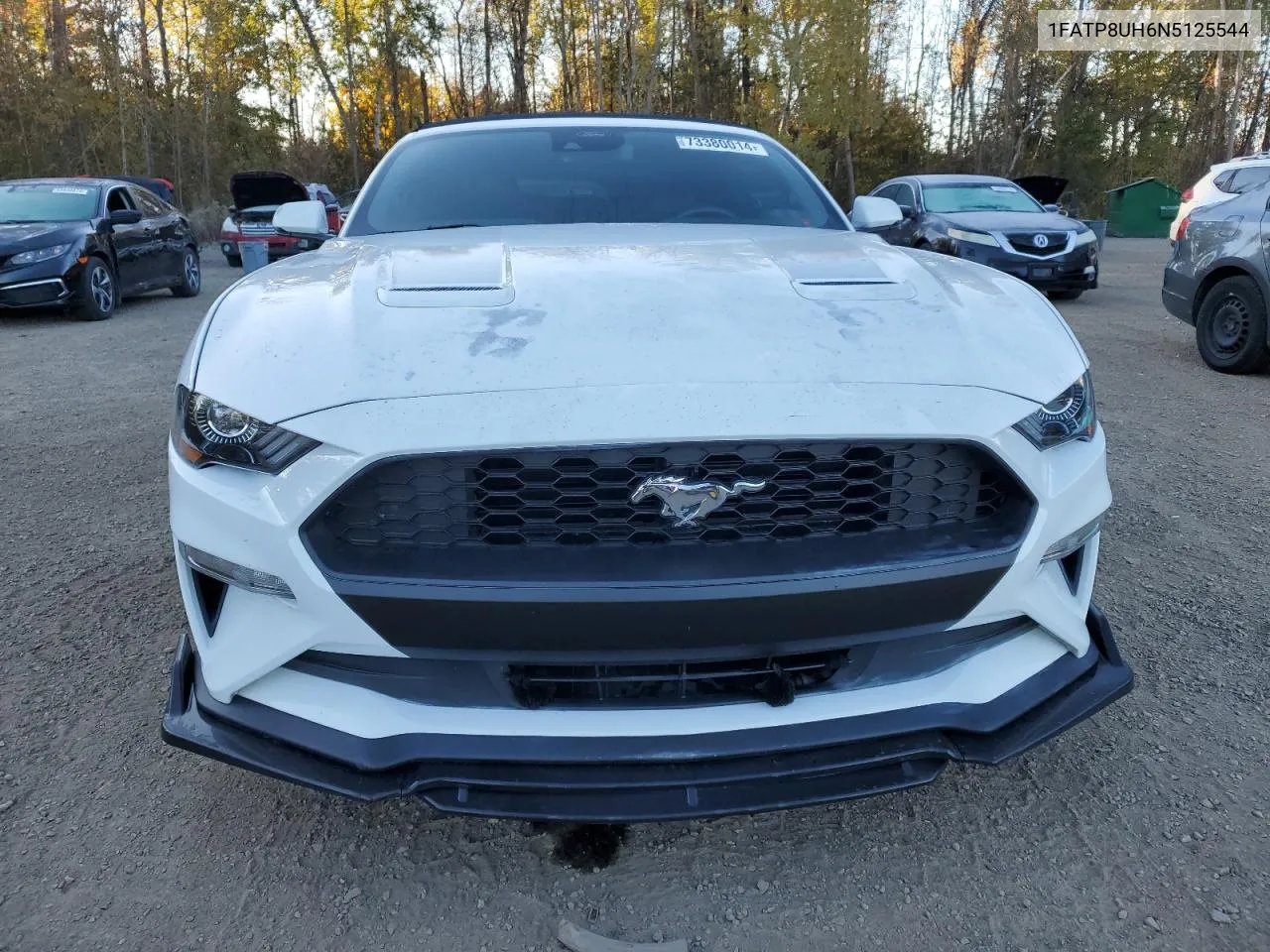 2022 Ford Mustang VIN: 1FATP8UH6N5125544 Lot: 73380014